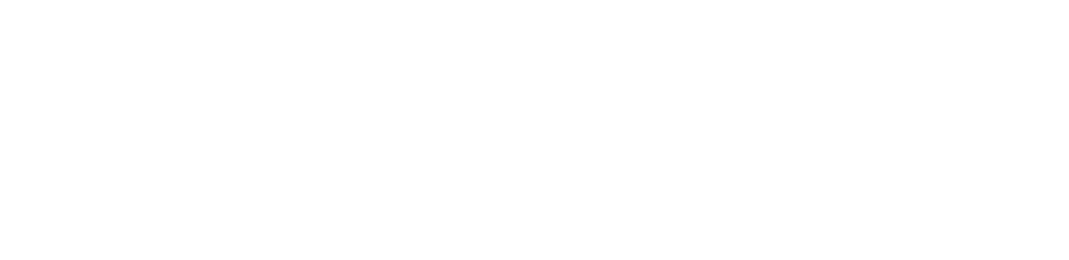 Logo der Nutzfahrzeuge Bern AG